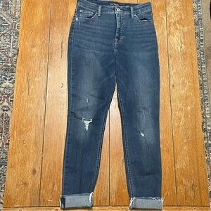 Lucky Brand Bridgette Denim Skinny Jeans